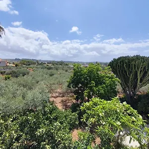bnb-laraucaria.sicilyhotelsitaly.net/